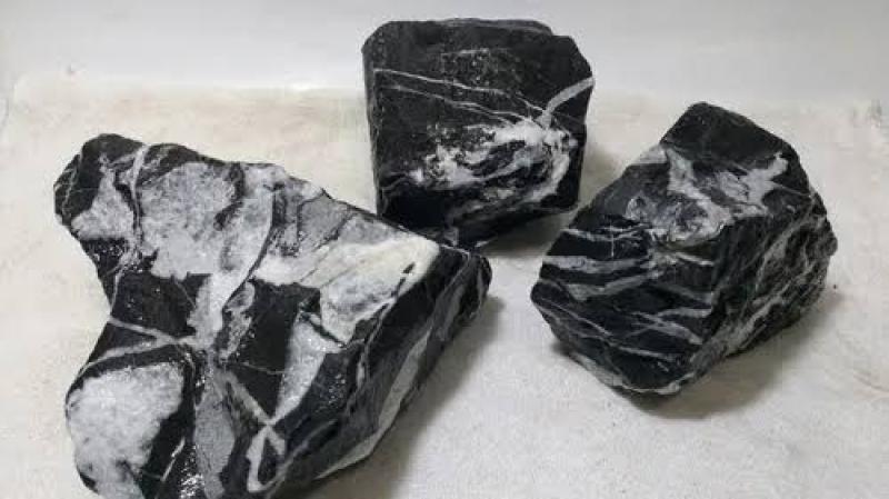 Rocha Back white (kg)